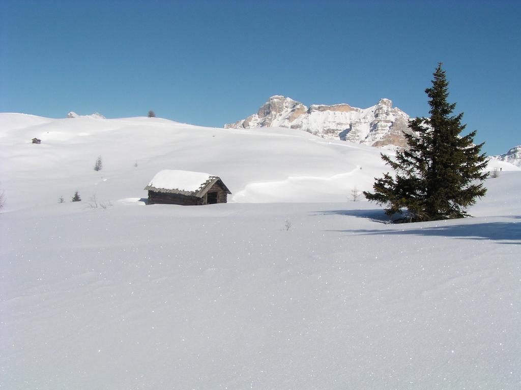 Apartments Residence Alta Badia Colfosco Buitenkant foto